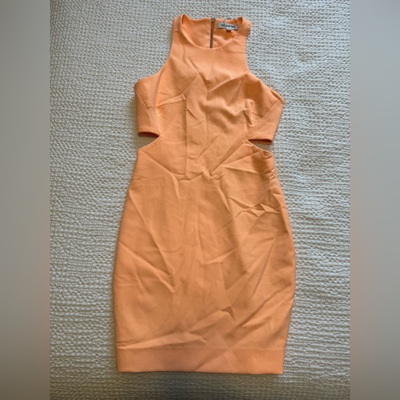 Elizabeth and James Cut out Dress - Picture 3 of 5